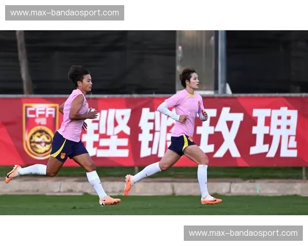 女足世界杯：日本铿锵玫瑰与瑞典铿锵之花的荣耀对决